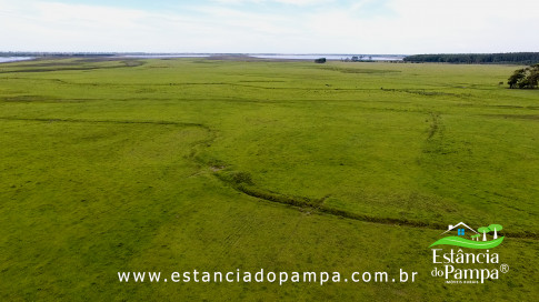 INICIO GADO TOP.00_02_53_19.Quadro039_09c464597f413212181bbd09428ba4baf68e728f.jpg